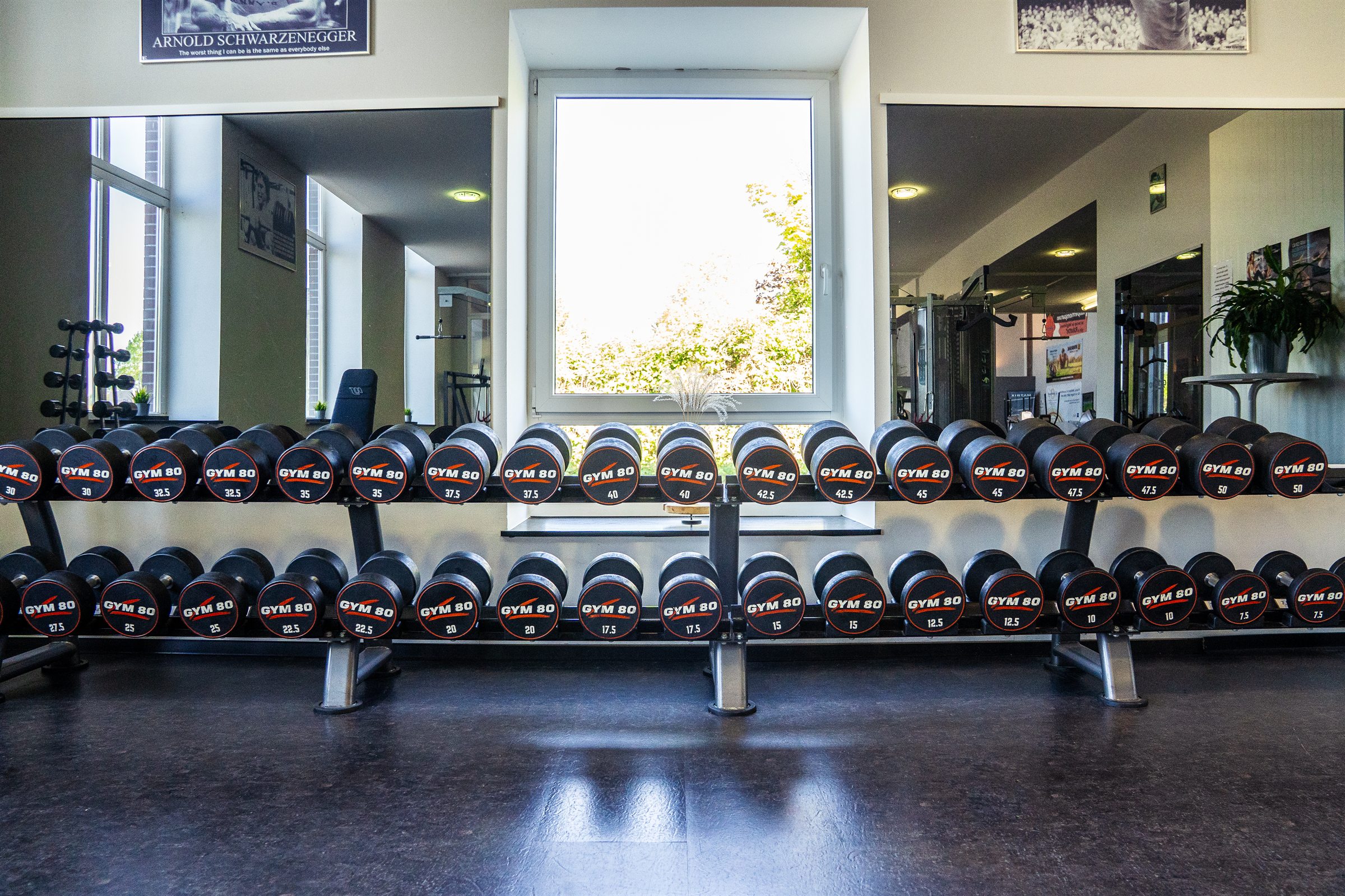 Hantelbank im Kraftbereich von gym80 Bassum